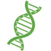 Biocomputación y transformación dirigida de enzimas.