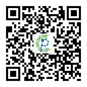 QR-Code für das öffentliche WeChat-Konto