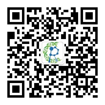 QR-код общедоступной учетной записи WeChat