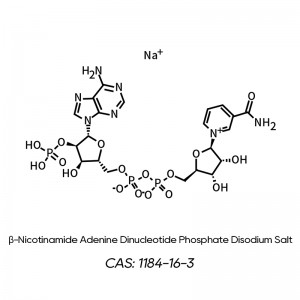 CRY003β-Nicotinamida adenina dinucleótido fosfato sal disódica (NADP, coenzima II oxidada) CAS: 1184-16-3